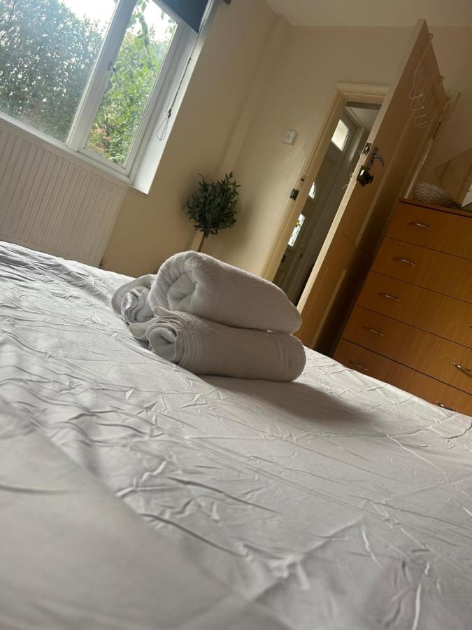 Spacious Bright Double Gazde/Camere de închiriat